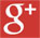 Google Pluse Icon